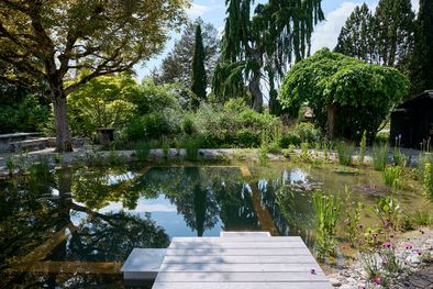 Schwimmteich, Luetzelflueh