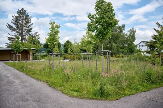 Friedhof, Hasle bei Burgdorf