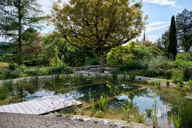 Schwimmteich, Luetzelflueh