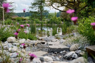 Schwimmteich, Luetzelflueh
