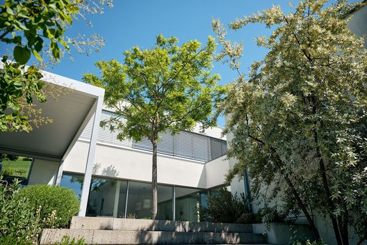Moderner Gartenhof mit Bäumen, Terrassierung und dichter Bepflanzung vor hellem Wohnhaus
