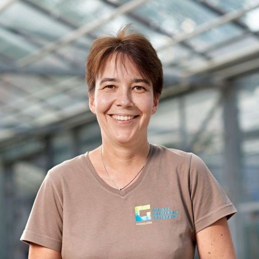 Eveline Schönholzer