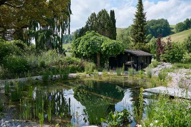 Schwimmteich, Luetzelflueh