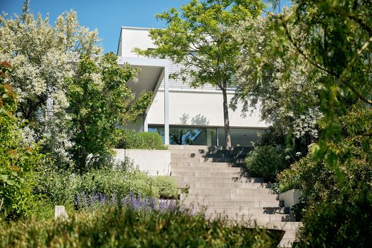 Treppenanlage im Hanggarten mit üppiger Bepflanzung und modernem Wohnhaus im Hintergrund