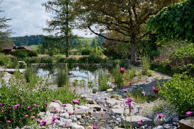 Schwimmteich, Luetzelflueh