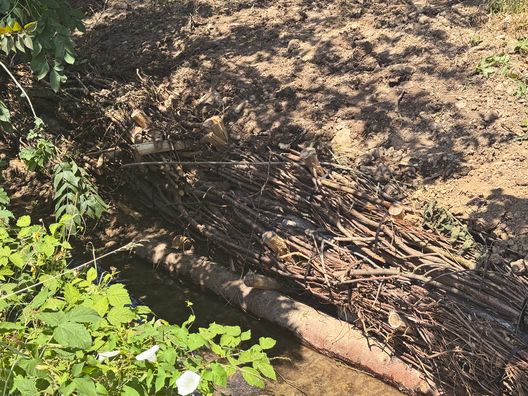 Naturnahe Bachverbauung aus Ästen und Holzstämmen am Dorfbach Jegenstorf.