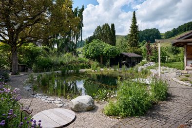 Schwimmteich, Luetzelflueh