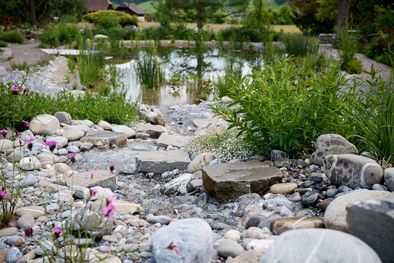 Schwimmteich, Luetzelflueh