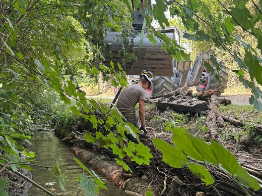 Arbeiter und Bagger beim Einbau von Holzfaschinen entlang des Dorfbachs Jegenstorf.