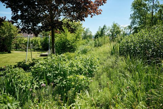 Üppige Stauden- und Gräserbepflanzung mit Spielbereich in einem sanierten Garten beim Mehrfamilienhaus