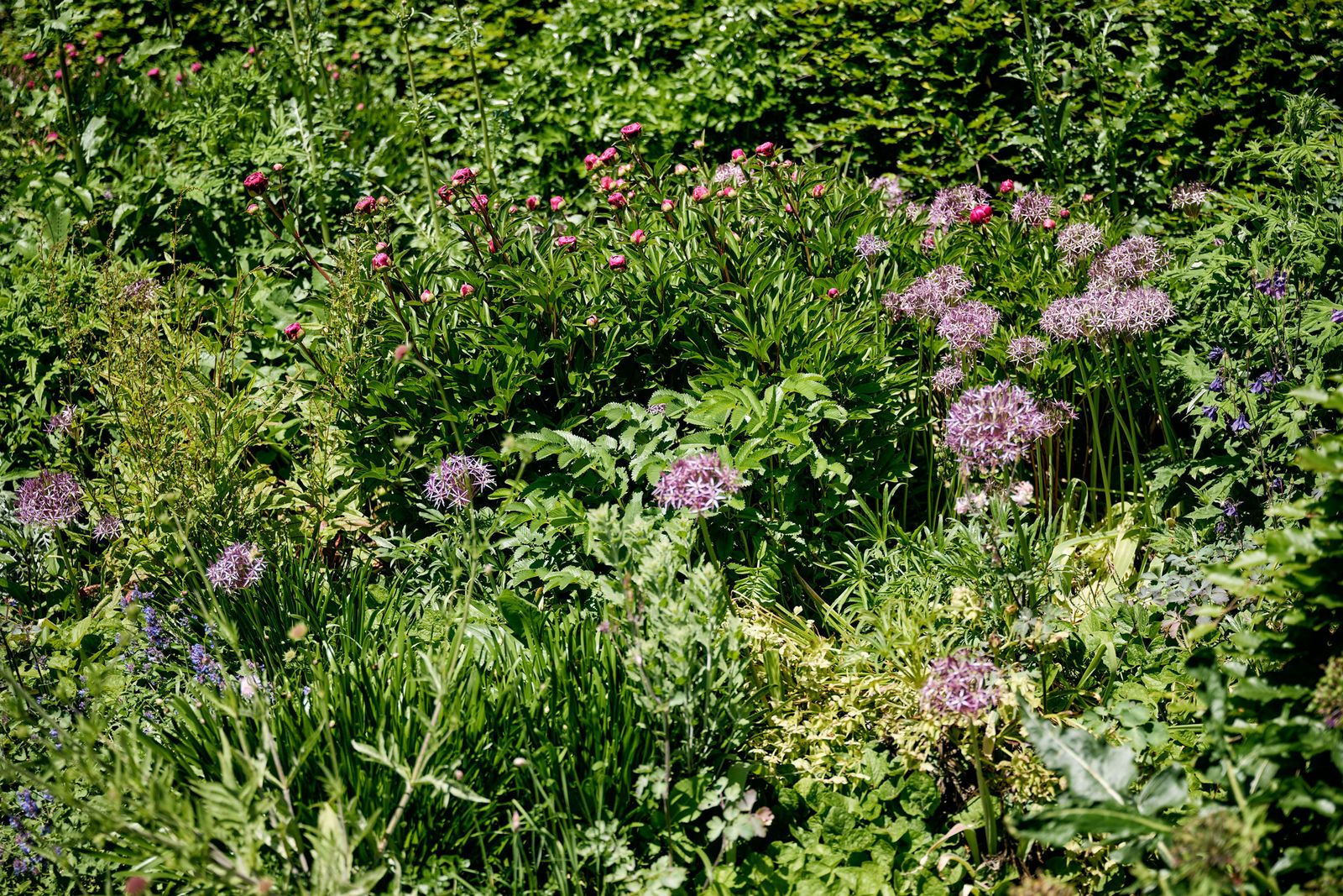 Naturnahe Bepflanzung mit Stauden, Sträuchern und Bäumen